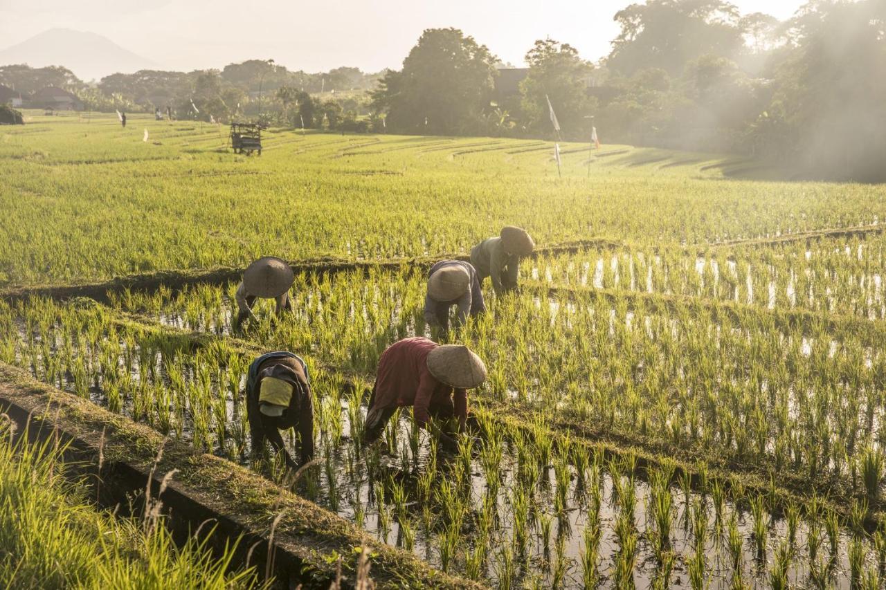 Como Uma Canggu Extérieur photo